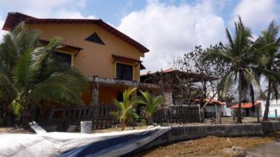 124818 - Viento frio - propiedades