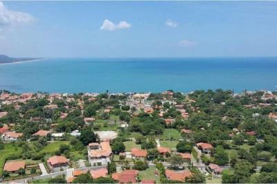 125002 - Nueva gorgona - lots