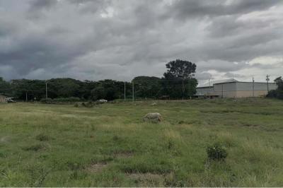 125521 - Chitré - lotes