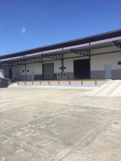 126436 - Las mañanitas - galeras