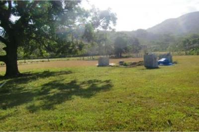 127142 - Pacora - lots