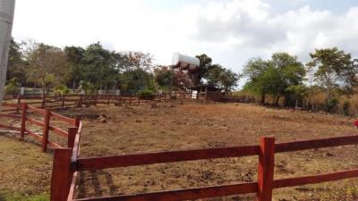 127324 - Capira - lotes