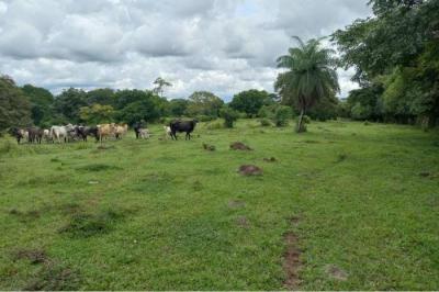 127638 - Santiago de Veraguas - propiedades