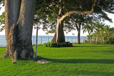 127655 - El palmar - casas