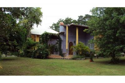 127667 - Cermeño - houses