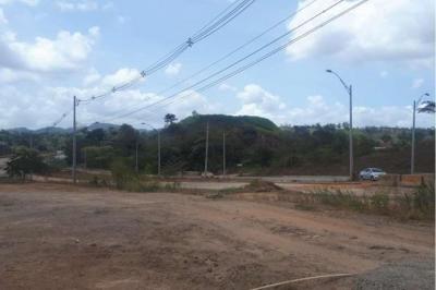 127676 - Pedregal - lotes