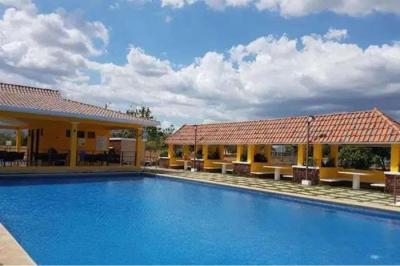 127738 - Bejuco - propiedades