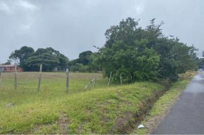 127823 - Bugaba - propiedades