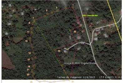 127906 - Nuevo emperador - lotes