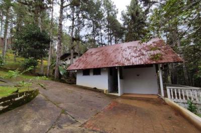 127932 - Cerro azul - casas