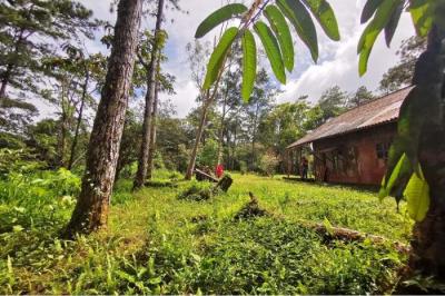 127989 - Pacora - lots