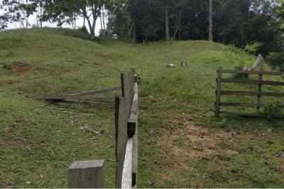 127990 - Salud - lotes