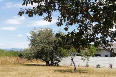 128030 - Las lajas - chame - lotes