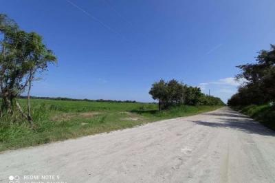 128124 - El chiru - propiedades