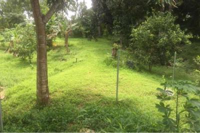 128418 - El coco - la chorrera - lotes