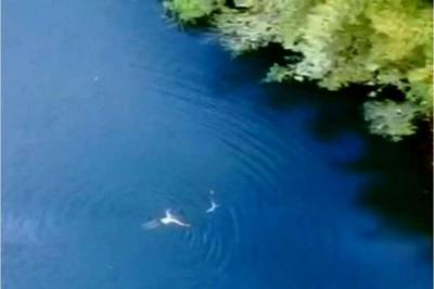 128482 - Potrerillos - lotes