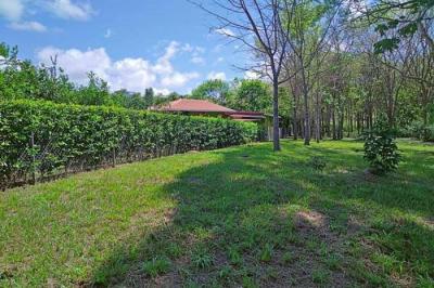 128600 - Las uvas - lotes