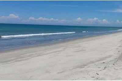 128611 - El higo - lotes