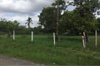 128633 - El chiru - propiedades