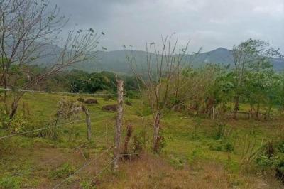 128678 - Capira - lotes