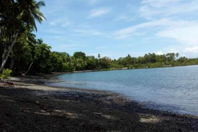 128945 - Remedios - lotes