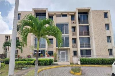 129037 - Barrio colon - apartamentos - terrazas del oeste