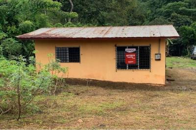 129187 - Nuevo emperador - lotes