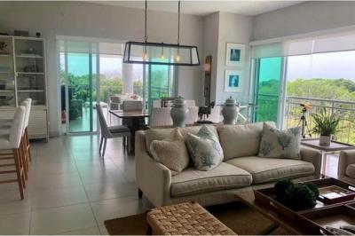 129537 - Punta barco - properties