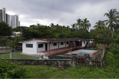 129629 - Nueva gorgona - lots