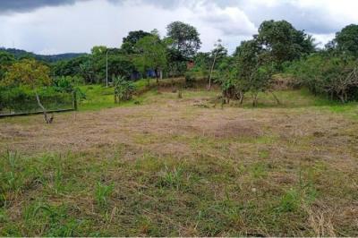 129889 - El coco - la chorrera - lotes