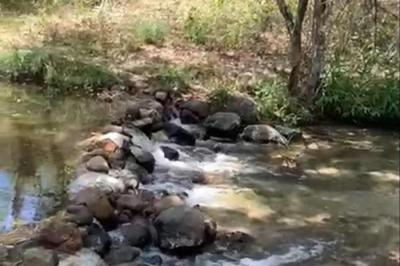 129978 - La ermita - lotes