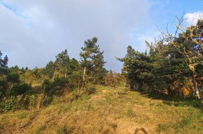 130042 - Capira - lotes