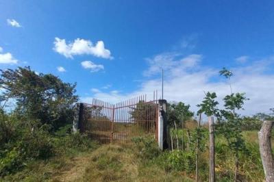 130357 - Rio hato - lotes