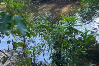 130475 - Rio hato - lotes