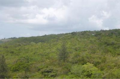 130493 - Santa Fe - propiedades