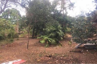 130515 - Juan demostenes arosemena - lotes