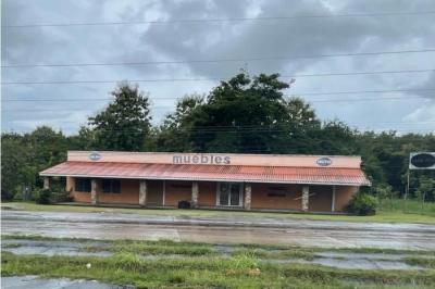 130734 - Nueva gorgona - locales