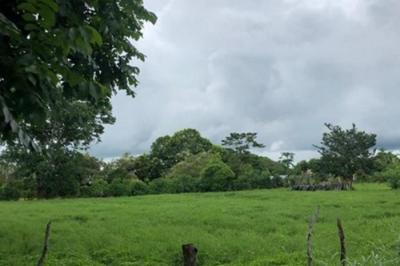 130851 - Las Tablas - lotes