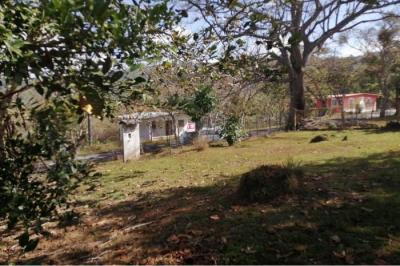 131194 - Chica - lotes