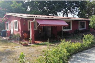 131217 - Las lajas - chame - casas