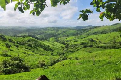 131467 - Cañita - lotes