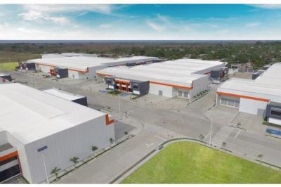 131553 - 24 de diciembre - galeras - panapark free zone