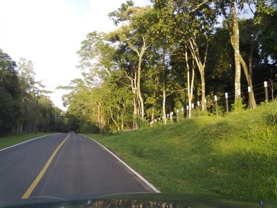 13158 - Campana - fincas