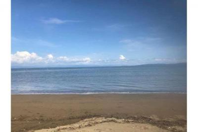 131675 - Soná - lotes