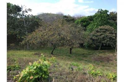 131706 - Santa catalina - lotes