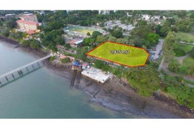 131712 - Amador - la chorrera - lotes