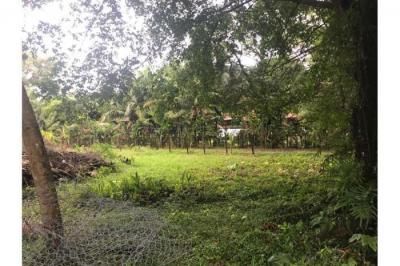 131762 - Mariatos - lotes