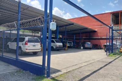 131792 - 24 de diciembre - locales