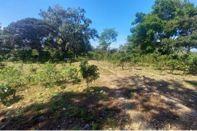 131888 - Alto boquete - lotes