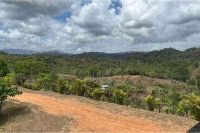 131916 - Capira - lots